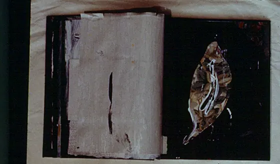 An open book with a leaf-shaped collage on a black page.