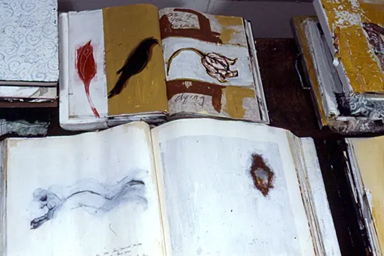 An open book with a red leaf and a black bird above a page with a blue wave drawing.