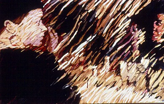 Diary 11: two profiles against black, in strokes of cream and ochre.