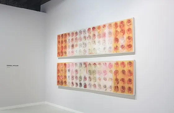 Installation view of the two long 64 Roses panels on an angled white wall, with a wall label reading Genell Miller at the left.