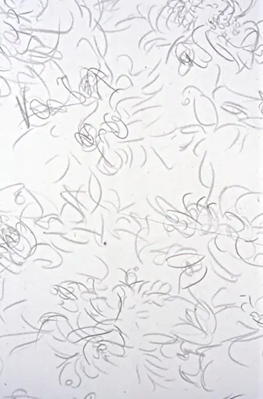 Line Detail 003: a mirrored pattern of looping lines on pale paper.