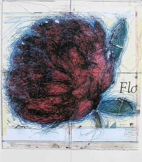 Peonia: a large peony head scribbled in black and blue ink over a coral ground, with teal leaves and a fragment of printed text.